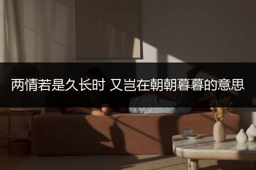 两情若是久长时 又岂在朝朝暮暮的意思
